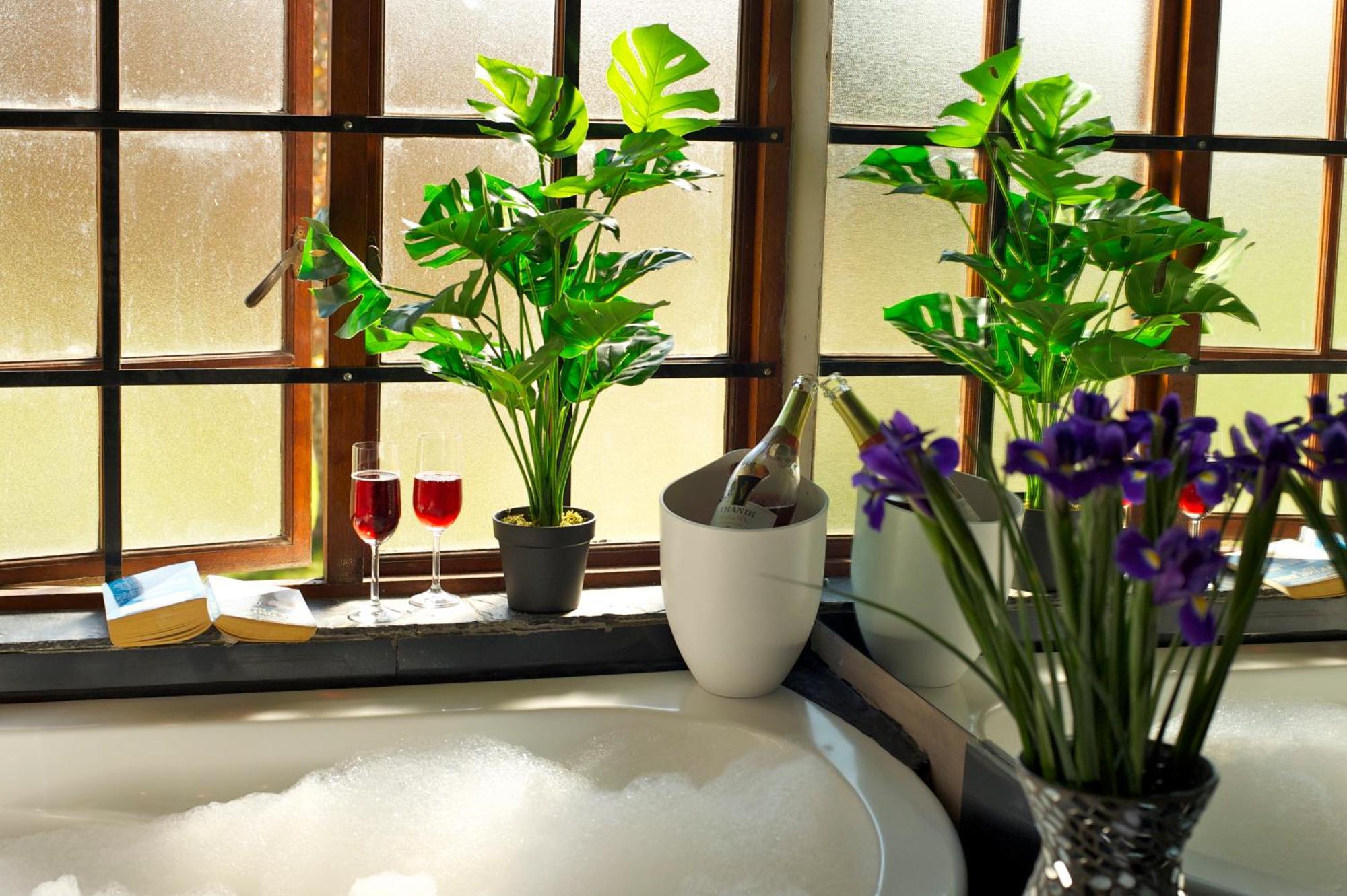 Boord Guest House Stellenbosch Bagian luar foto